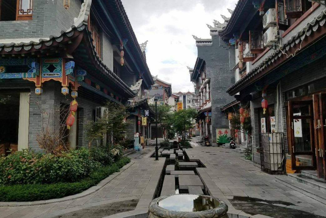 迷雾求生